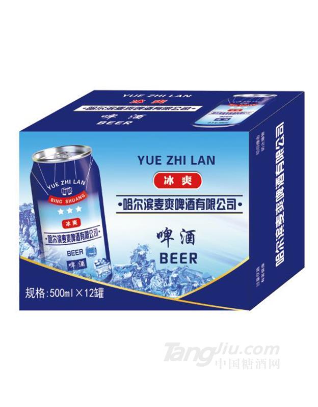 哈爾濱麥爽冰爽啤酒500ml×12罐