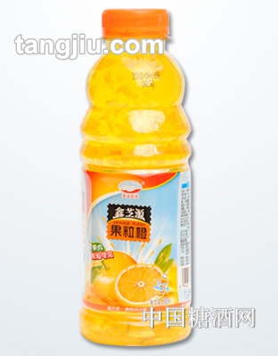 鑫芝源果粒橙500ML