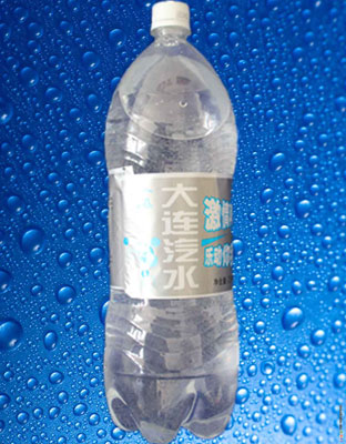 大連汽水（無(wú)糖）2L