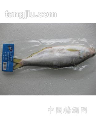 白力魚