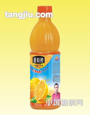 雪珠果粒橙480ml