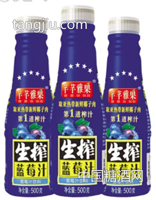 芊芊雅果生榨藍莓汁500ml