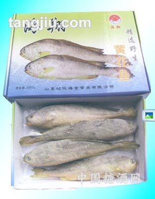 精選黃花魚1500g盒