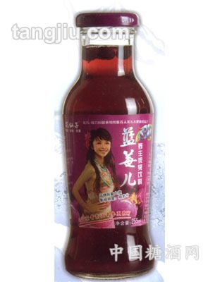 花仙子藍(lán)莓兒果汁255ml