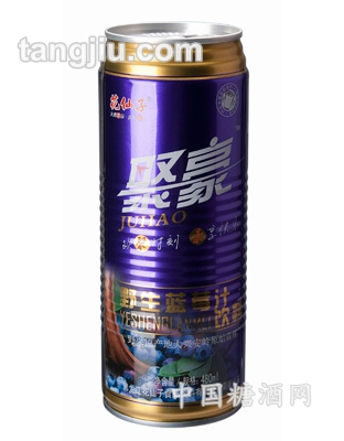 480ml藍莓果汁飲料