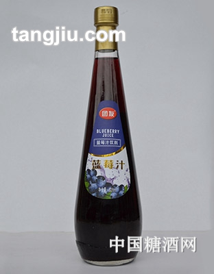 團(tuán)友藍(lán)莓汁飲料828ml