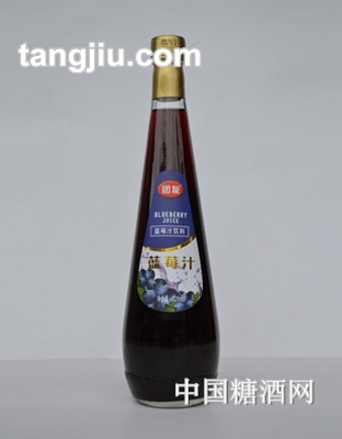 團(tuán)友藍(lán)莓汁828ml