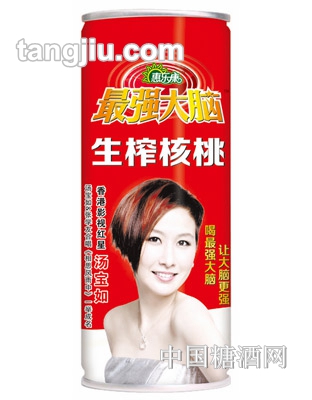 升級版強(qiáng)大腦生榨核桃乳240ml