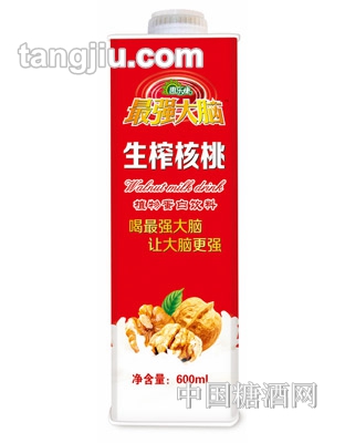 強(qiáng)大腦生榨核桃植物蛋白飲料600ml