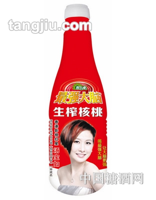 升級版強(qiáng)大腦生榨核桃乳1.25L