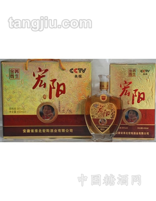 450ml養(yǎng)生金尊宏陽酒