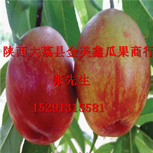 新鄭三毛桃價(jià)格