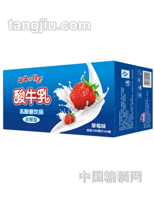 牛牛樂(lè)酸牛乳乳酸菌飲品250ml16盒