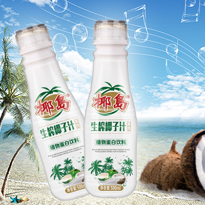 椰島生榨椰子汁500ml（植物蛋白飲料）