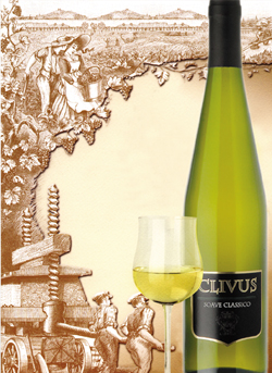 Soave  Classico  古典（精 品）索瓦干白葡萄酒