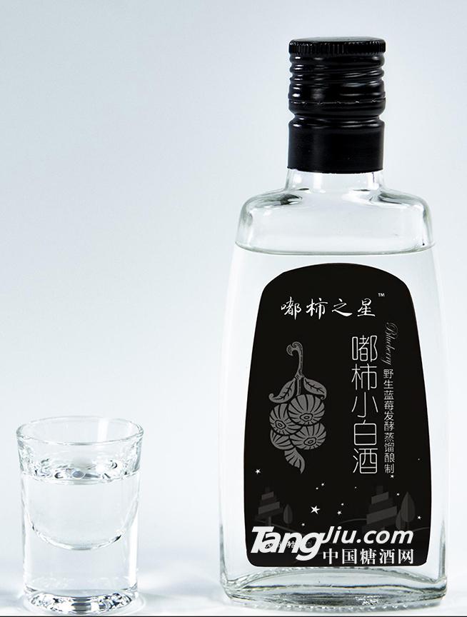 龍達(dá)健康酒業(yè)-嘟柿小白酒-125ml