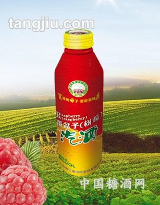 覆盆子（樹莓）汽酒300ml