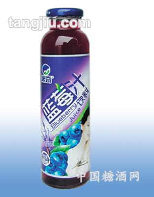 藍莓汁15-306ml