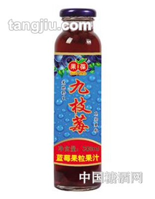 果葆藍(lán)莓飲料-九枝莓300ml