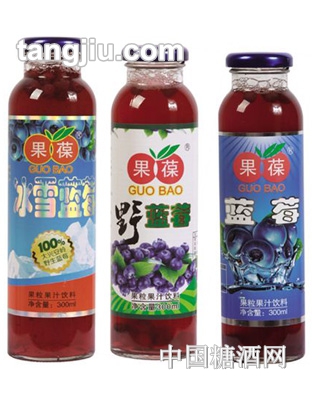 果葆藍(lán)莓果汁飲料300ml