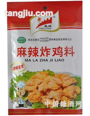 麻辣炸雞料40g