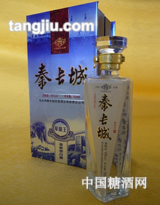 秦長(zhǎng)城45&#176;草原王