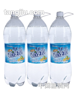 吉派老汽水2L