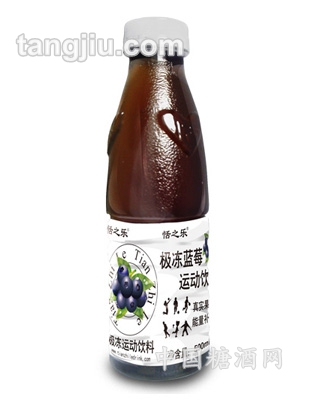 極凍藍(lán)莓運(yùn)動飲料500ml