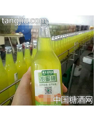 500ml安江凌水蜜桃碳酸飲料