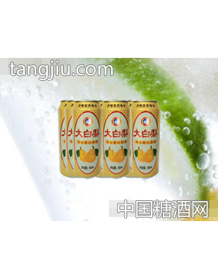 海潤德大白梨果味飲料500ml×9罐