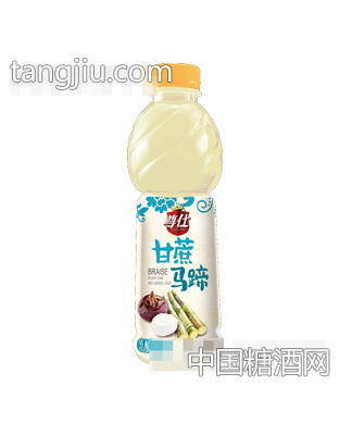 尊仕甘蔗馬蹄乳酸菌果汁600ml