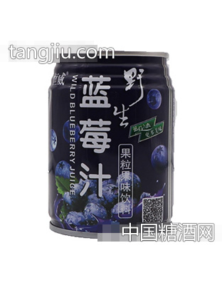 恒威藍(lán)莓汁果粒果味飲料