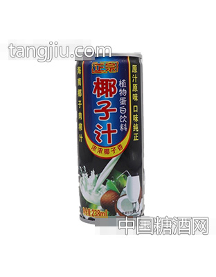 正宗椰子汁植物蛋白飲料238ml