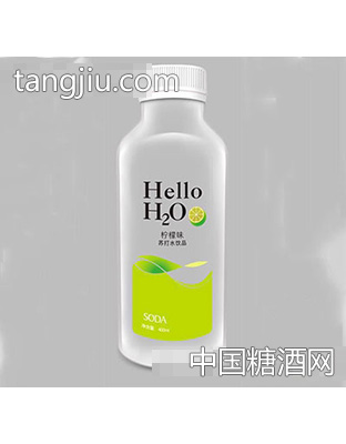 奇亞籽你好！水檸檬味蘇打水飲品