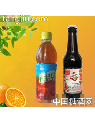 瓶裝酸棗復(fù)合飲品