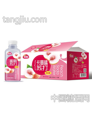 團(tuán)友蜜桃無氣蘇打水飲料500ml