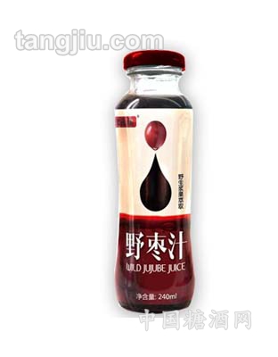 津樂(lè)福野棗汁240ml