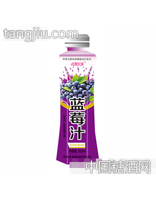 懷康樂源藍莓汁500ml