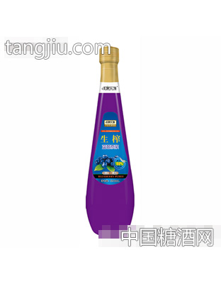 懷康樂(lè)源生榨藍(lán)莓原漿350ml