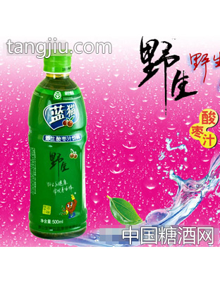 藍(lán)貓茶味型野生酸棗汁500ml