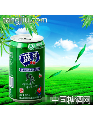 藍貓茶味型野生酸棗汁