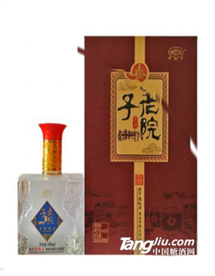 老院子窖藏經(jīng)典（紅）500ml