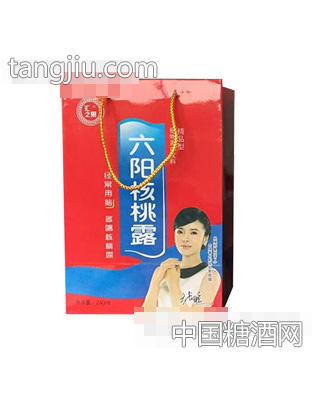 匯之果六陽(yáng)核桃露240ml