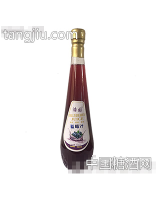 浩園藍(lán)莓汁828ml