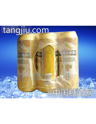 濱海情小麥王啤酒500ml×9