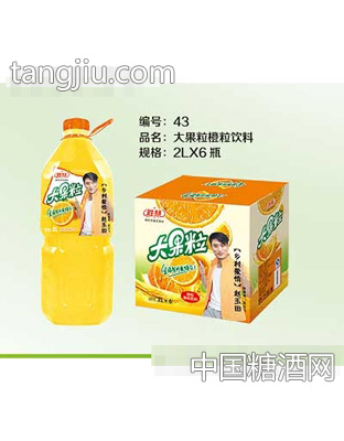 果多多大果粒橙粒飲料2L×6瓶