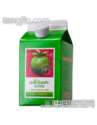 陽(yáng)光味道蘋(píng)果汁500ml(屋頂盒)