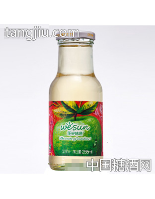 陽(yáng)光味道蘋(píng)果汁258ml