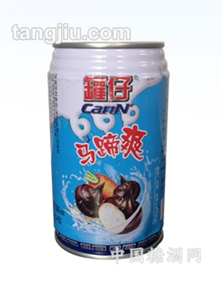 罐仔馬蹄爽300ml