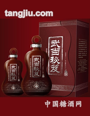 武當(dāng)酒武當(dāng)秘笈300ml